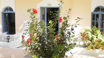 Sirena Apartments Αγία Πελαγία  Εξωτερικό φωτογραφία